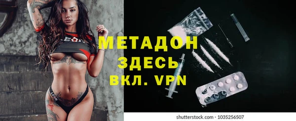 ПСИЛОЦИБИНОВЫЕ ГРИБЫ Арсеньев