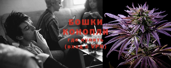 ПСИЛОЦИБИНОВЫЕ ГРИБЫ Арсеньев